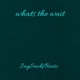 Whats the Wait Single