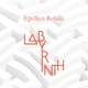 Labyrinth with Al Di Meola Brian Bromberg Xavier Desandre Navarre Vytautas Sondeckis Domingo Patricio