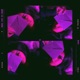 Need you to care Single