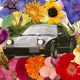 Rx7 Single