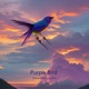 Purple bird Single