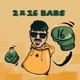 2x16 BARS Single