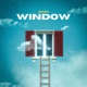 Window Single