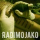 RADIMOJAKO feat Svaba Ortak Single