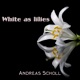 White as Lilies Single