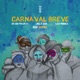 Carnaval Breve DSF Remix feat Leo Middea Single