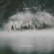 The Past feat Familypet Single