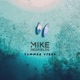 Summer Vibes Single