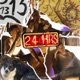 24Hrs Single