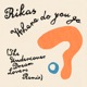 Where Do You Go The Undercover Dream Lovers Remix Single