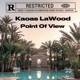 Point Of View feat LA wood Single