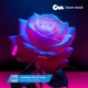 Looking for a Love Instrumental Single