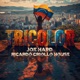 Tricolor feat Ricardo Criollo House Single