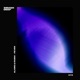 Fever Single