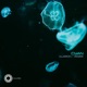 Cyan Single