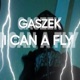 I Can a Fly Single