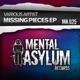 Missing Pieces Single