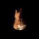 Raising Up the Heat Single