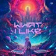 NikBass What I Like Single