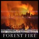 Forest Fire Single