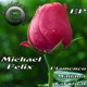 Flamenco Single