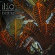 Biome Single
