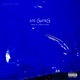 oN GaNG feat Boggie Scones Single