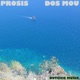 Dos Mou