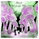 Medicine Man Single