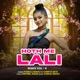 Hoth Me Lali Remix Vol 6 Single
