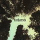 catharsis feat taura Single