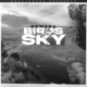 Birds In The Sky Acoustic Single
