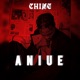Aniue Acoustic Single