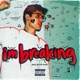 I m Breaking Single