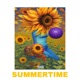 Summertime Single