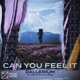 Can You Feel It feat Brenton Mattheus Extended Mix Single