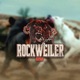 Rockweiler 2025 Single