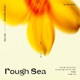 Rough Sea Single