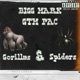 Gorillas Spiders feat GtmPac Single