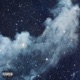 BYM feat SHEESH ARVVSI Single