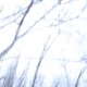 selected instrumentals 1
