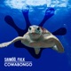 Cowabongo Single