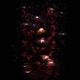 Snap Single