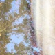 Limerence feat Digifern Single