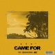 Came For Single