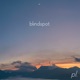 Blindspot Single