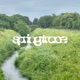 Springtrace Single