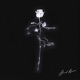 Dead Roses Single
