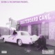Skateboard Cane CHOPPED NOT SLOPPED