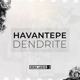 Dendrite Single
